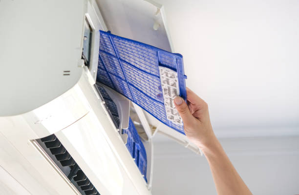 Best Dryer Vent Cleaning Services  in Frankford, DE