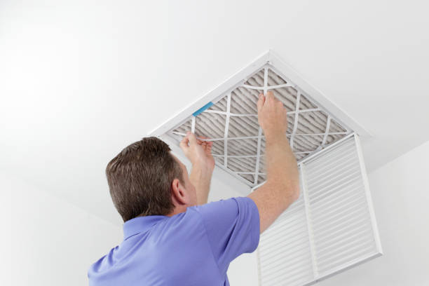 Best HVAC System Cleaning  in Frankford, DE